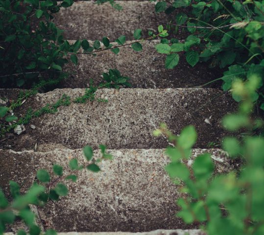 Betriebliches Mentoring Karriere - Boschung Coaching